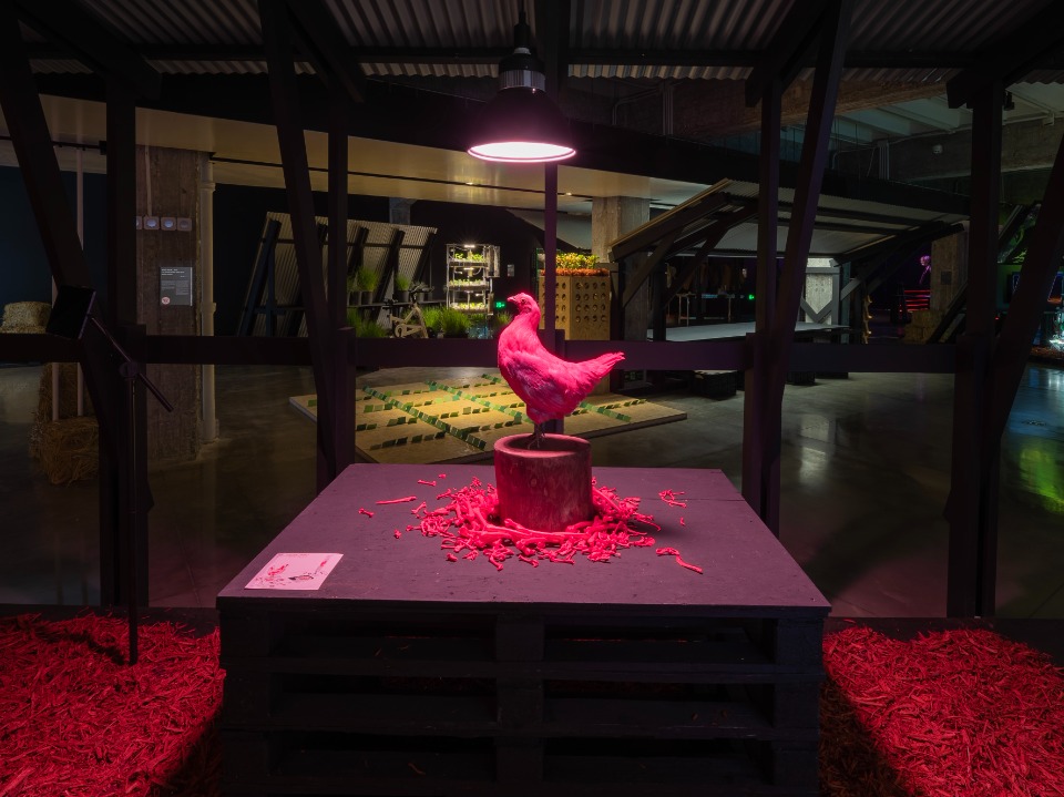 02 Nonhuman Nonsense Studio_PINK CHICKEN PROJECT.jpg